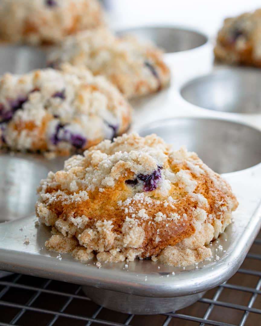 Baked blueberry muffins in a muffin tin.