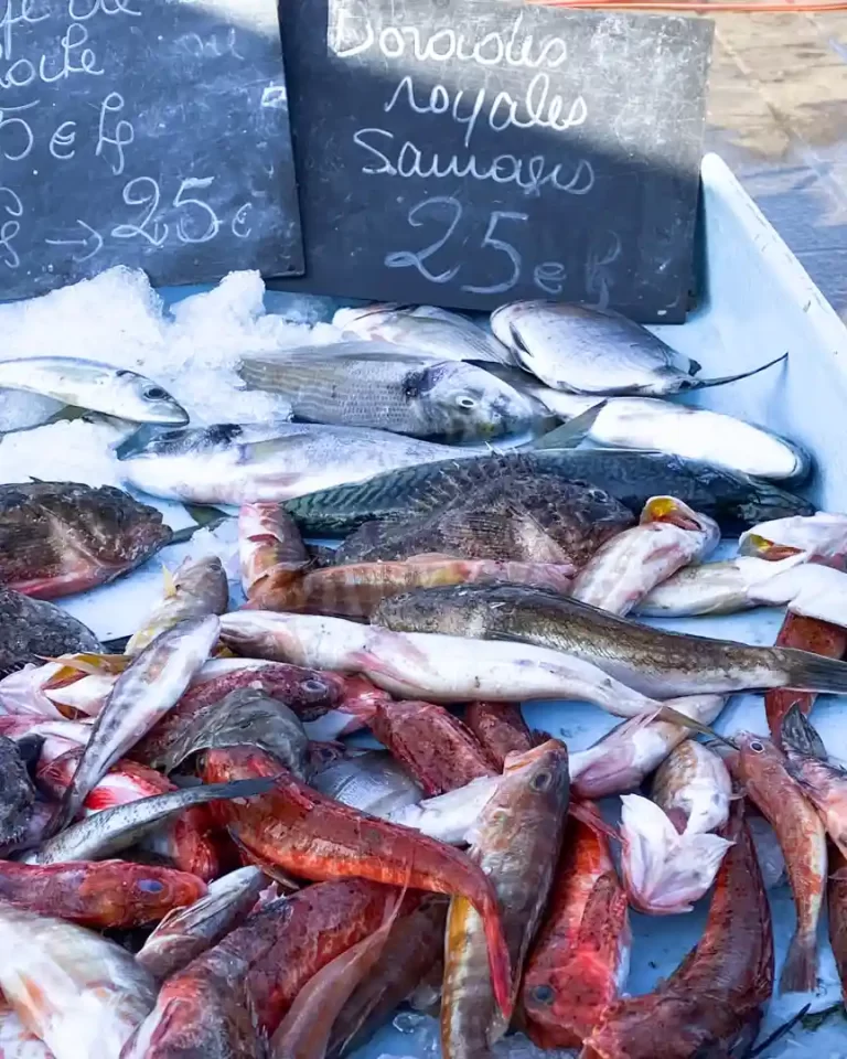 Fresh fish on display at an outdoor market.